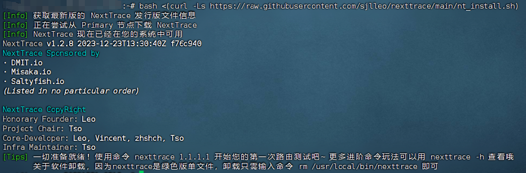 路由追踪-NextTrace